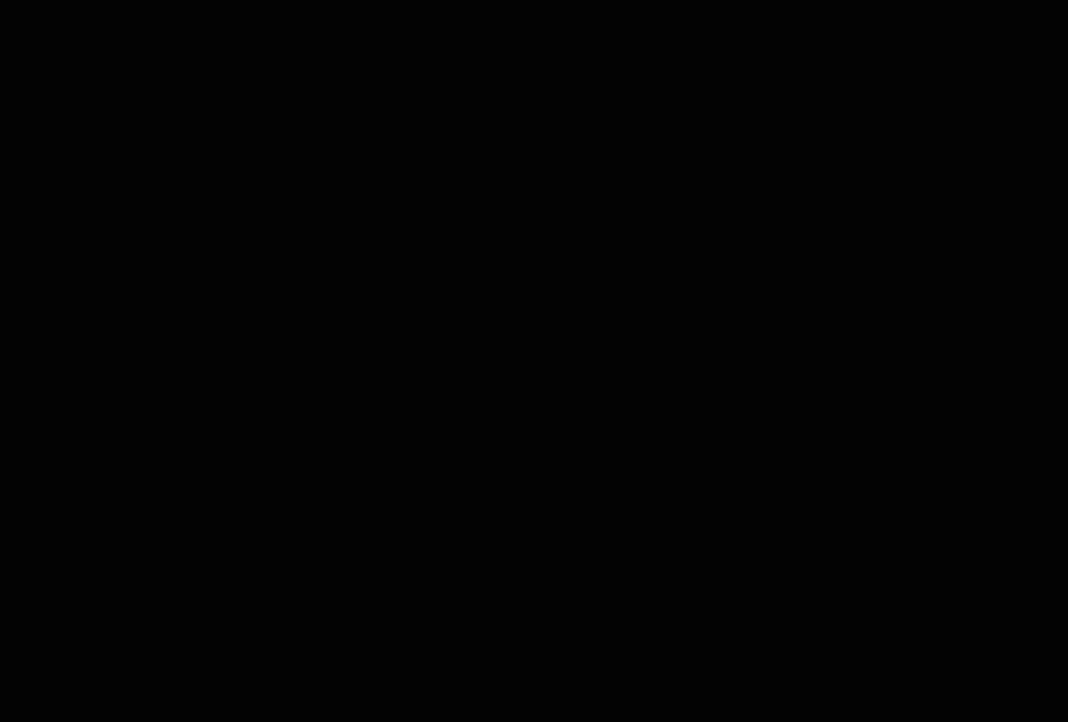 Louis Capital